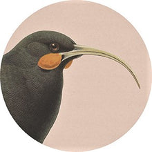 Load image into Gallery viewer, Pastel Bird Art Spots