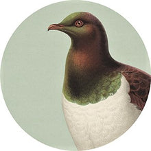 Load image into Gallery viewer, Pastel Bird Art Spots