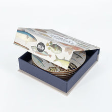 Load image into Gallery viewer, Fish of NZ Placemat and Coaster Sets