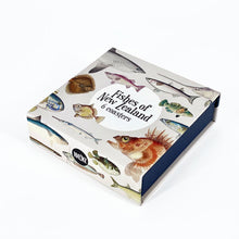 Load image into Gallery viewer, Fish of NZ Placemat and Coaster Sets