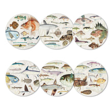 Load image into Gallery viewer, Fish of NZ Placemat and Coaster Sets
