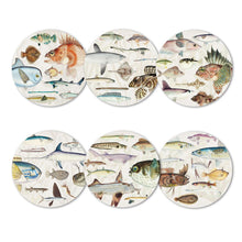 Load image into Gallery viewer, Fish of NZ Placemat and Coaster Sets