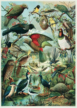 Load image into Gallery viewer, New Zealand Puzzles