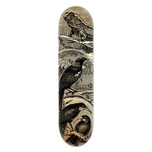 Load image into Gallery viewer, skateboards, skateboardart, New Zealand art, skateboard design art, kiwi wall art