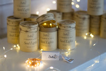 Load image into Gallery viewer, Rechargeable Seed Lights