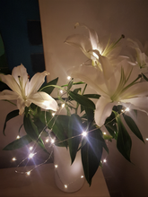 Load image into Gallery viewer, Rechargeable Seed Lights