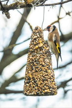 Load image into Gallery viewer, Seedcone - for NZ wildbirds