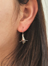 Load image into Gallery viewer, Stirling Silver New Zealand Earrings
