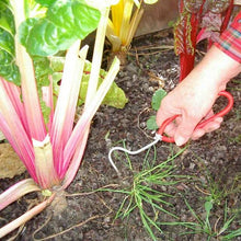 Load image into Gallery viewer, Wonder Weeder