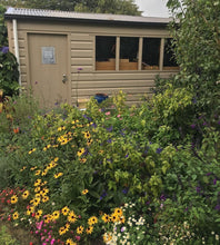 Load image into Gallery viewer, Wonder Weeder