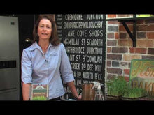 Load and play video in Gallery viewer, Microgreens - Seeds and Growing Tray (sold separately)