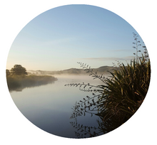 Load image into Gallery viewer, New Zealand Scene Art Spots