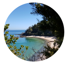 Load image into Gallery viewer, New Zealand Scene Art Spots