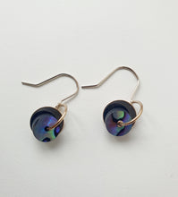 Load image into Gallery viewer, Silver Disc Earrings with Paua or Pounamu
