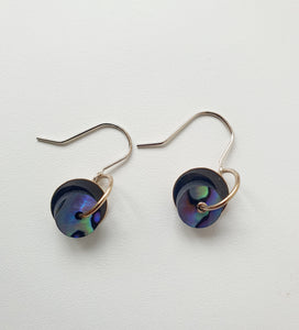 Silver Disc Earrings with Paua or Pounamu