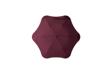 Load image into Gallery viewer, Blunt Umbrella and Frank Green Bottle Colab
