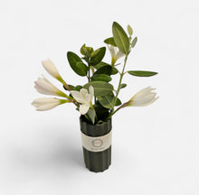 Load image into Gallery viewer, Flower Vases by Flora
