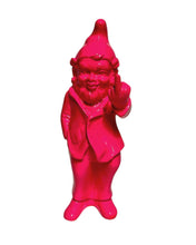 Load image into Gallery viewer, Rude Little Gnomes
