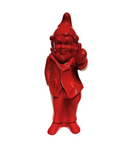 Load image into Gallery viewer, Rude Little Gnomes
