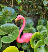 Load image into Gallery viewer, The original Featherstone Pink Flamingo
