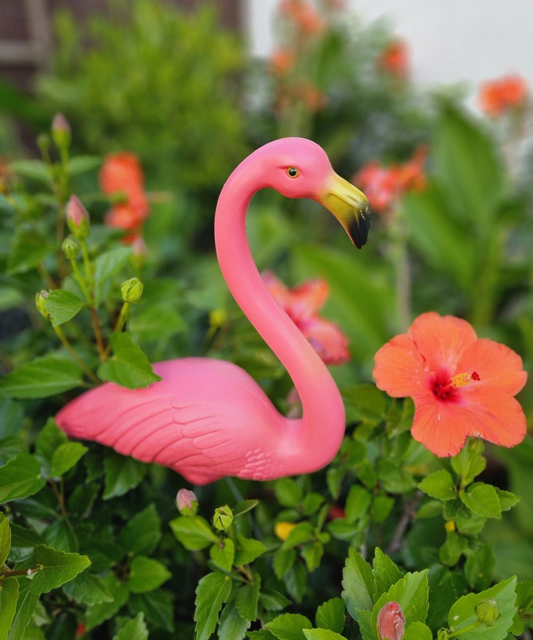 The original Featherstone Pink Flamingo