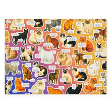 Load image into Gallery viewer, Moody Cat Puzzle
