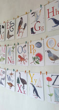 Load image into Gallery viewer, New Zealand Alphabet Art Cards
