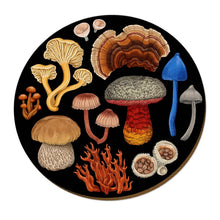 Load image into Gallery viewer, Mushroom Placemats by Tanya Wolfkamp
