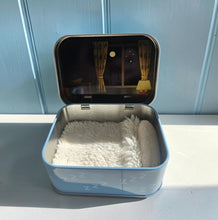 Load image into Gallery viewer, My Sleepy Little Kiwi - Kiwi Soft Toy in a Tin
