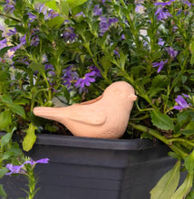 Load image into Gallery viewer, Little Terracotta Bird Waterer
