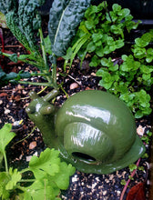 Load image into Gallery viewer, Ceramic Snail Slug Trap
