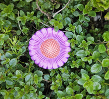 Load image into Gallery viewer, Insect Drinking Flower Bowls
