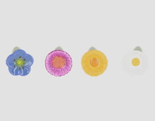 Load image into Gallery viewer, Insect Drinking Flower Bowls
