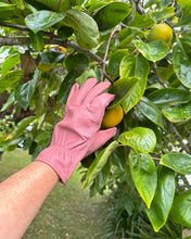 Load image into Gallery viewer, Pink Leather Gardening Gloves
