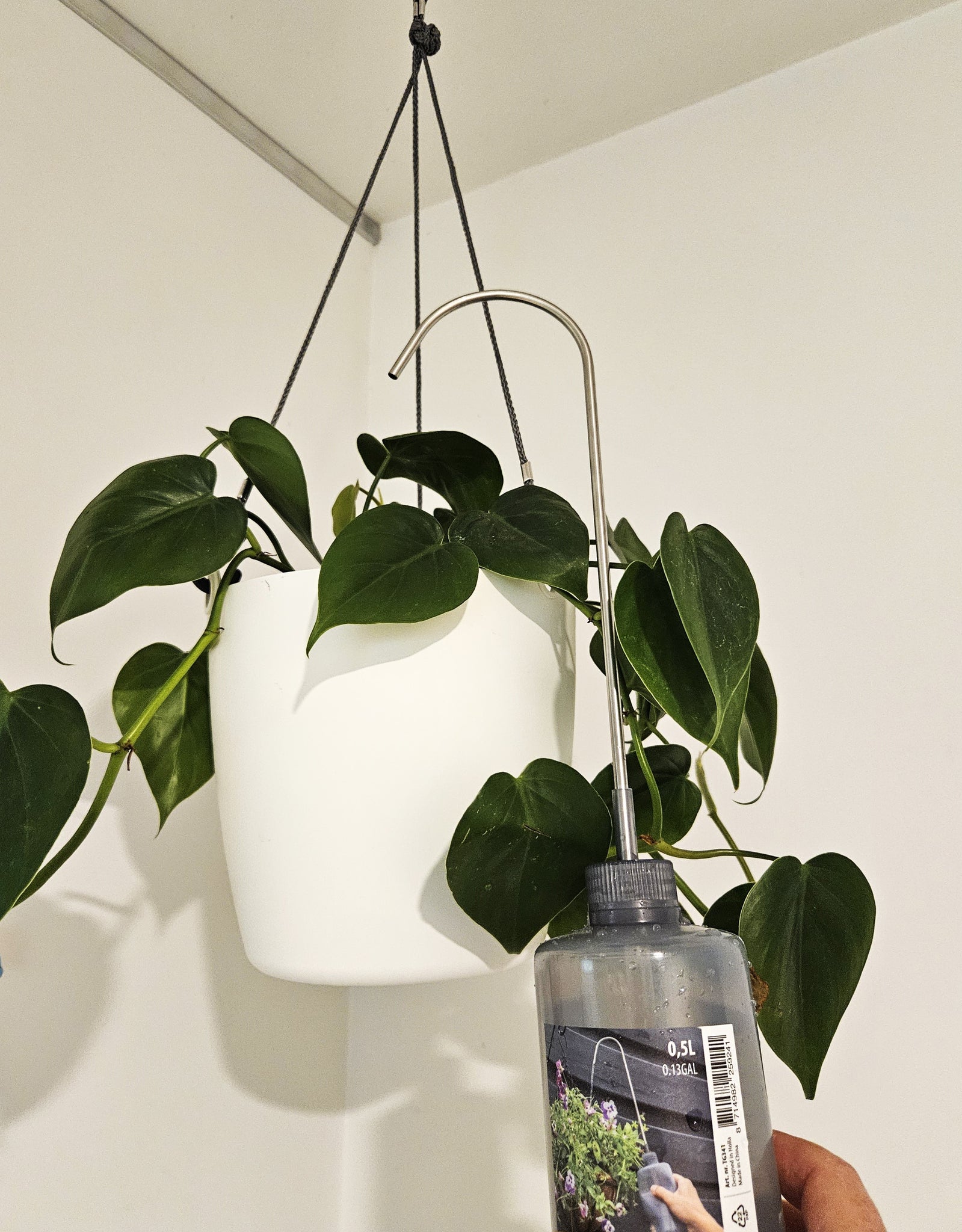 hanging plant watering bottle Watering Bottle for Hanging Plants – The Garden Party