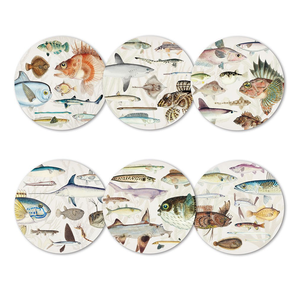 Boxed NZ Coaster Sets