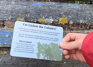 Exploring nature Fun Cards