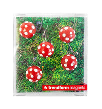 Load image into Gallery viewer, Colourful Magnets
