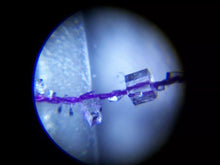 Load image into Gallery viewer, Pocket Microscope
