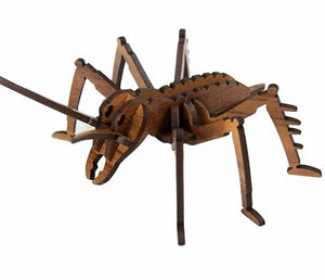 Wooden Kitset Models