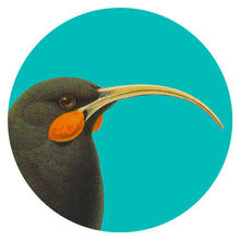 Load image into Gallery viewer, Art Spots - Bright Native Birds
