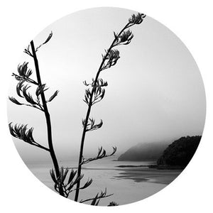 Art Spots- Black and White Images