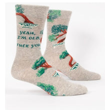 Load image into Gallery viewer, Funny Mens Socks by Blue Q

