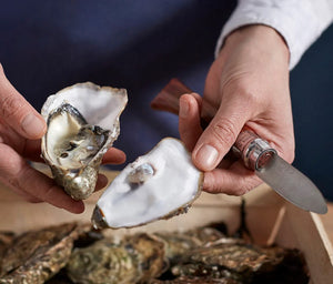 Oyster Knife by Opinel