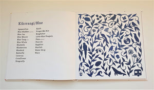 A,B Seek Book - 2nd Edition in Colour