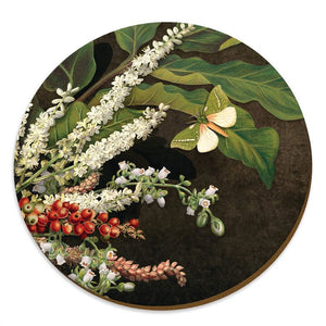 NZ Flowers and Insects Coasters and Placemats on Black