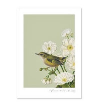 Load image into Gallery viewer, Vintage Bird Prints
