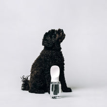 Load image into Gallery viewer, Thirsty Portable Bottle for Dogs
