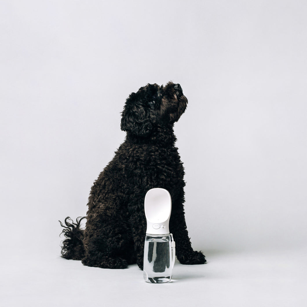 Thirsty Portable Bottle for Dogs