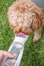 Load image into Gallery viewer, Thirsty Portable Bottle for Dogs
